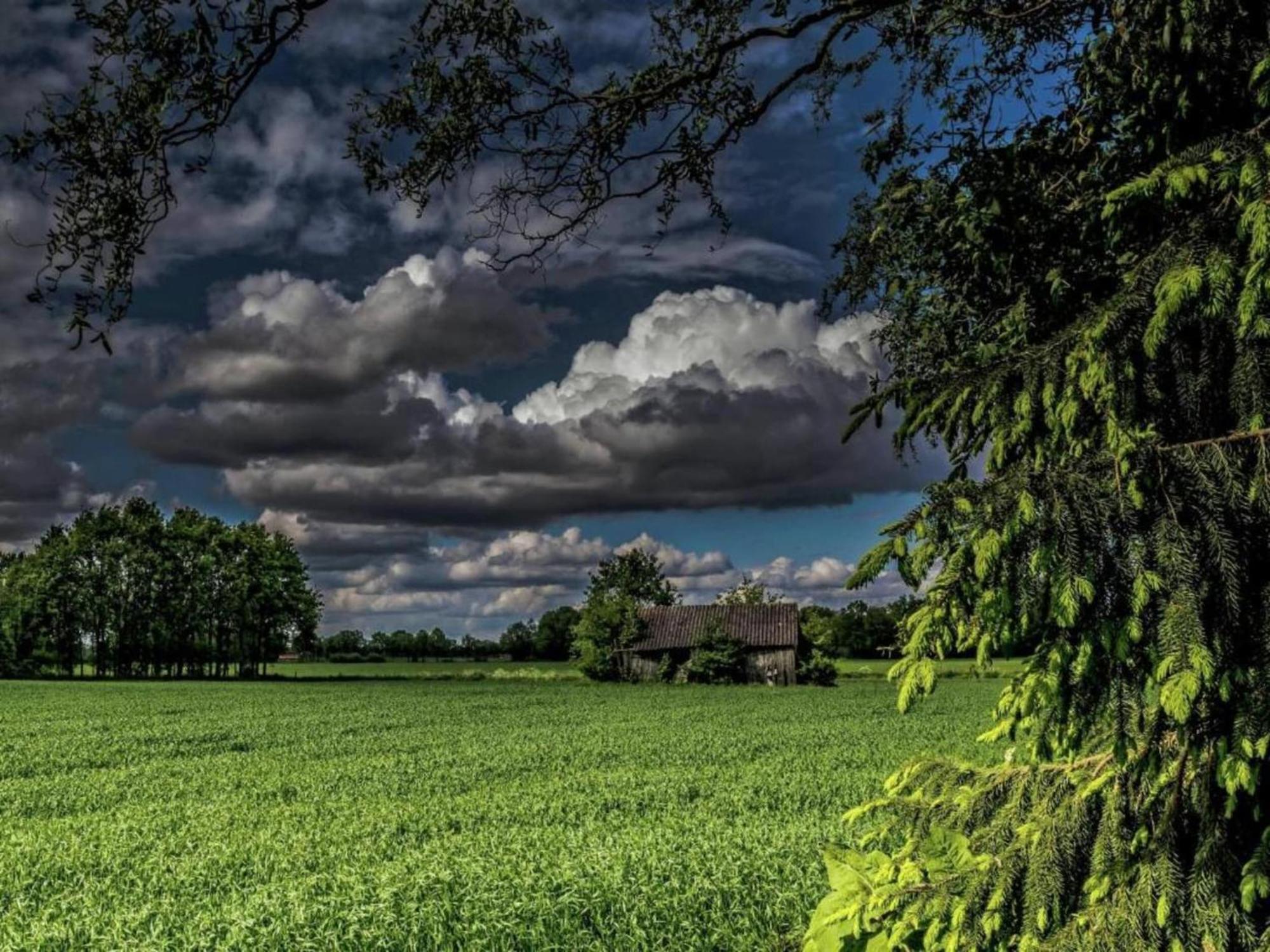 Staying In A Thatched Barn With Box Bed Beautiful View Region Achterhoek Geesteren  Екстериор снимка